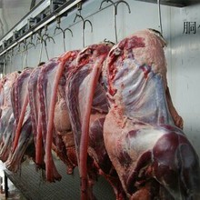 鴕鳥(niǎo)苗繁育出售，鴕鳥(niǎo)蛋，鴕鳥(niǎo)肉，鴕鳥(niǎo)掌，鴕鳥(niǎo)油，蛋殼羽毛工藝品