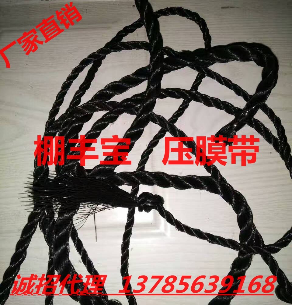 抗老化壓膜帶 棚豐寶壓膜帶（繩）