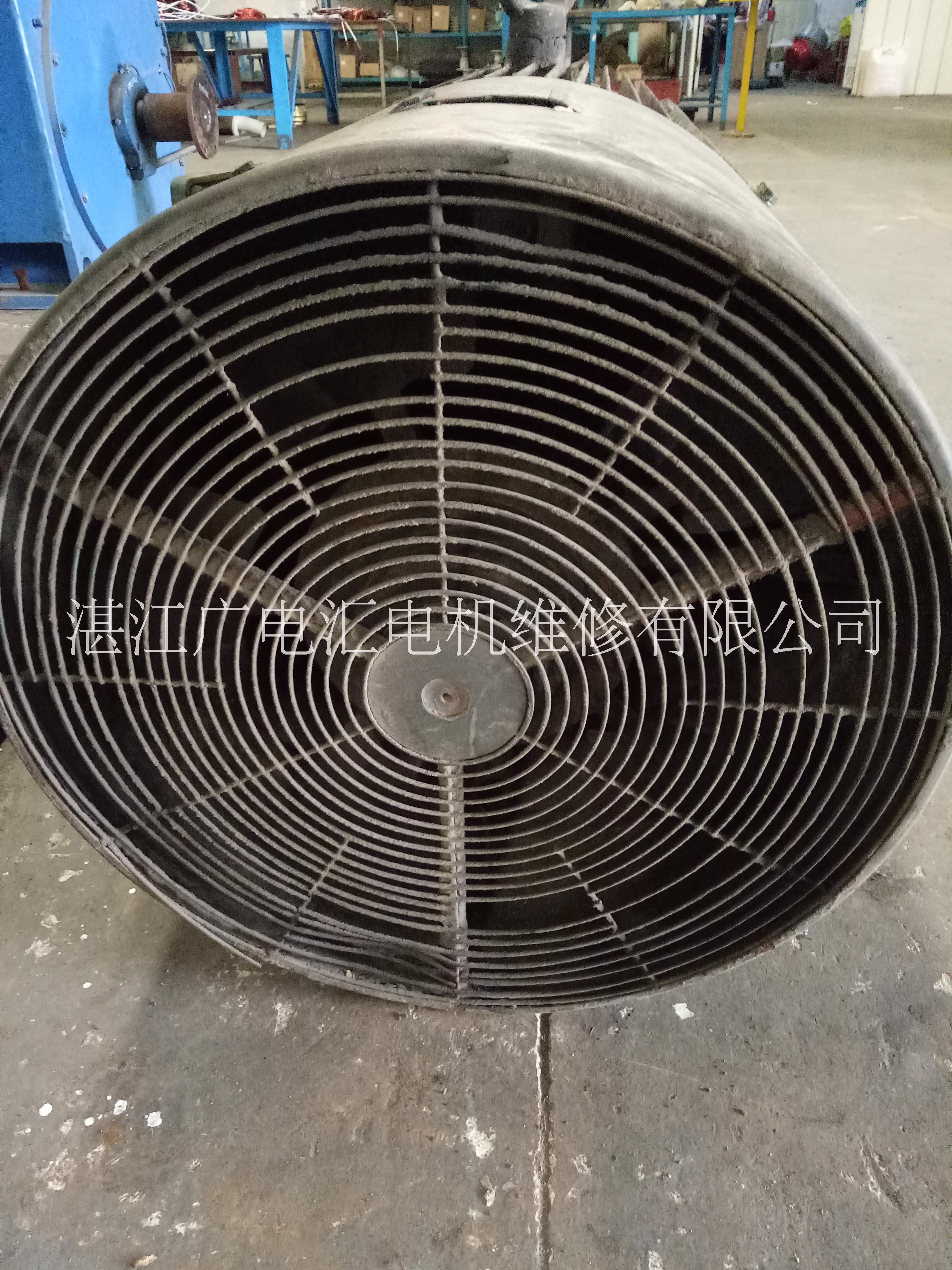 供應粵西地區(qū)高低壓交直流電機維修