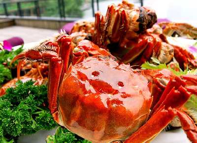 好蟹匯成都陽澄湖大閘蟹給你真滋味
