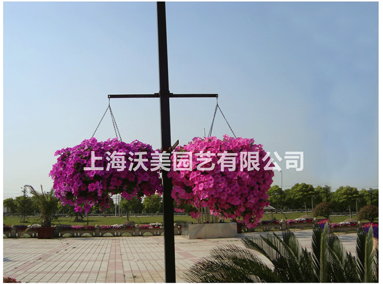 室外立體垂直綠化燈桿綠化圓形塑料花盆花器圓形吊盆