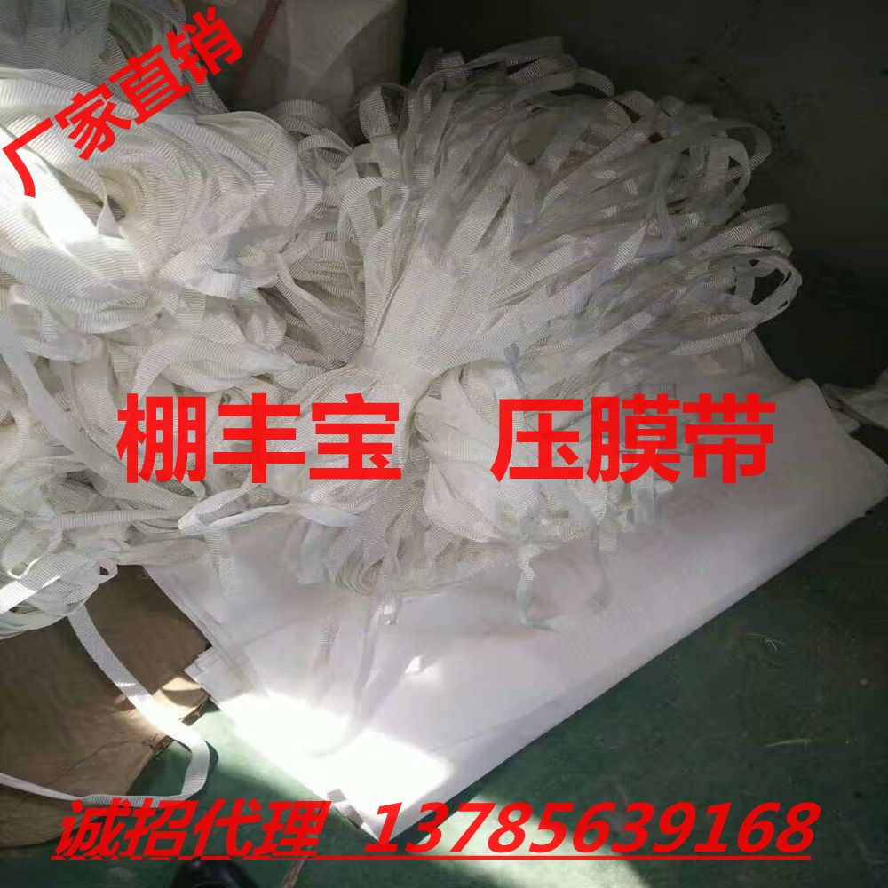 抗老化壓膜帶 棚豐寶壓膜帶（繩）