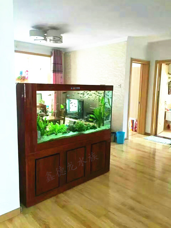 屏風(fēng)隔斷魚缸  屏風(fēng)魚缸    魚缸廠家