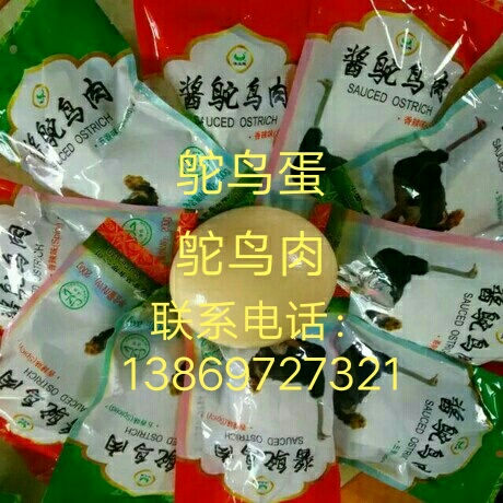出售鴕鳥苗@泰安鴕鳥繁育養(yǎng)殖@駝鳥哪里便宜
