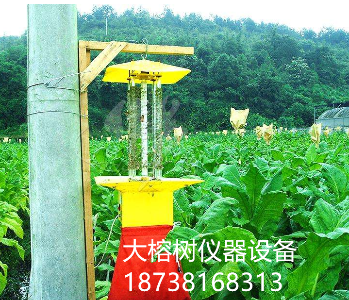 茶園頻振式交流電殺蟲燈廠家  立桿式太陽能殺蟲燈廠家   YF-GT-4太陽能箱體式殺蟲燈