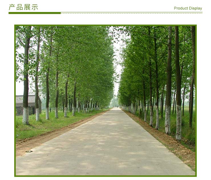 普陀區(qū)綠化養(yǎng)護工程施工電話，普陀區(qū)園林綠化工程施工，上海園林綠化工程施工