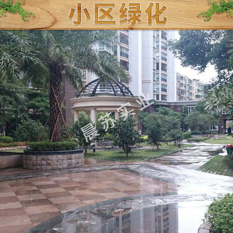 重慶綠化養(yǎng)護電話 居民住宅小區(qū)綠化養(yǎng)護 園林綠化工程