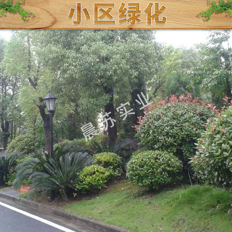 重慶綠化養(yǎng)護電話 居民住宅小區(qū)綠化養(yǎng)護 園林綠化工程