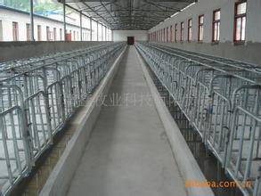 山東豬哈哈限位欄加厚限位欄*