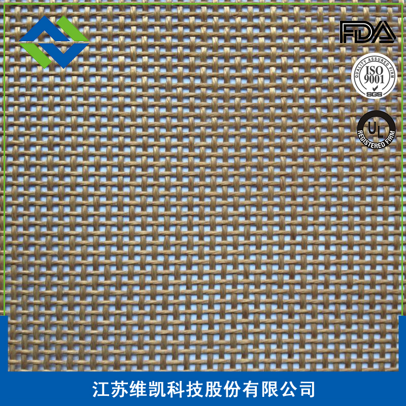 特氟龍細(xì)網(wǎng)孔網(wǎng)帶1MM|江蘇維凱