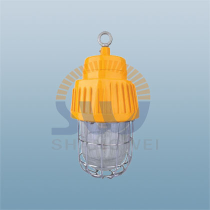 防爆平臺(tái)燈  廠家直銷優(yōu)品質(zhì)防爆平臺(tái)燈