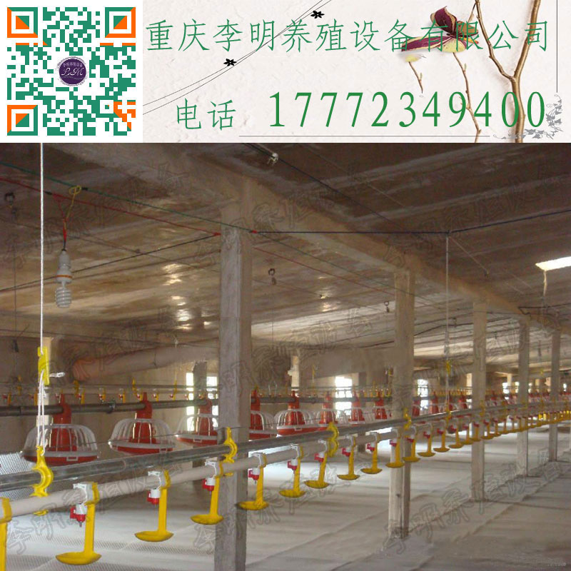 水線 養(yǎng)殖設(shè)備 養(yǎng)雞水線  水線 自動(dòng)水線 養(yǎng)雞水線