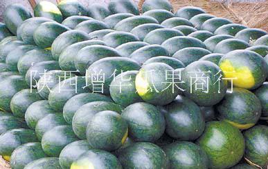 供應(yīng)陜西西瓜基地/西瓜產(chǎn)地/大荔西瓜價(jià)格/渭南西瓜行情/黑無(wú)籽西瓜 陜西黑無(wú)籽西瓜價(jià)格 供應(yīng)黑無(wú)籽西瓜批發(fā) 供應(yīng)黑無(wú)籽西