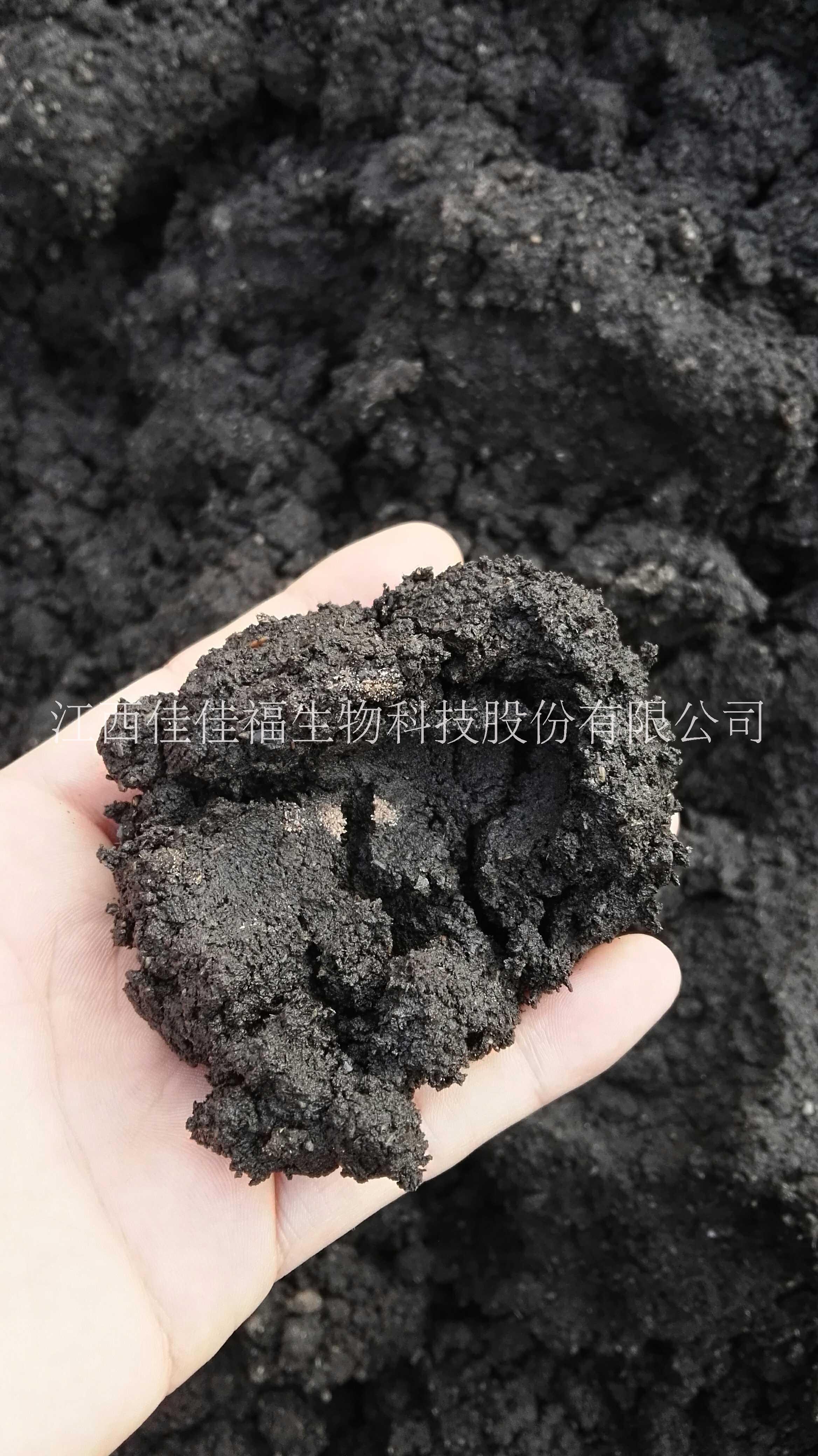 木薯渣有機肥原料