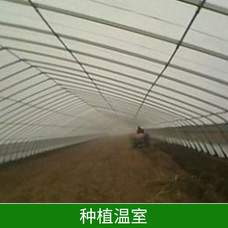 種植溫室大棚∣花卉溫室大棚∣草莓種植大棚-邯鄲市鑫凱農(nóng)業(yè)科技有限公司