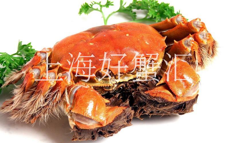 吃大閘蟹無(wú)需追著大閘蟹跑