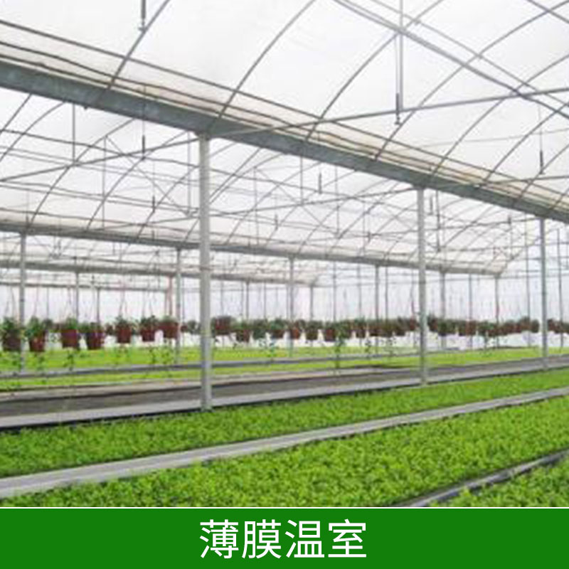 薄膜溫室具有重量輕骨架材料用量少結(jié)構(gòu)件遮光率小造價(jià)低使用壽命長(zhǎng)價(jià)格實(shí)惠薄膜溫室廠家直銷