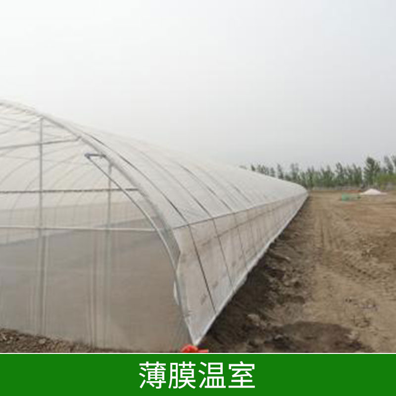 寧夏薄膜溫室∣銀川薄膜連棟溫室∣石嘴山智能薄膜溫室-邯鄲市鑫凱農(nóng)業(yè)科技有限公司