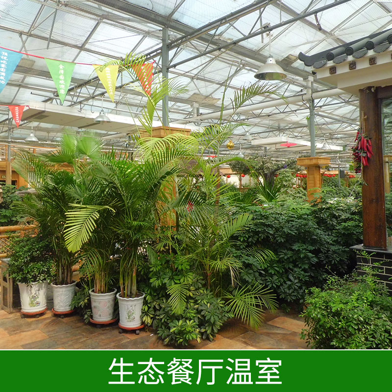 生態(tài)餐廳溫室園林設計精致環(huán)保堅固玻璃生態(tài)餐廳價格實惠生態(tài)餐廳溫室廠家供應 陜西生態(tài)餐廳