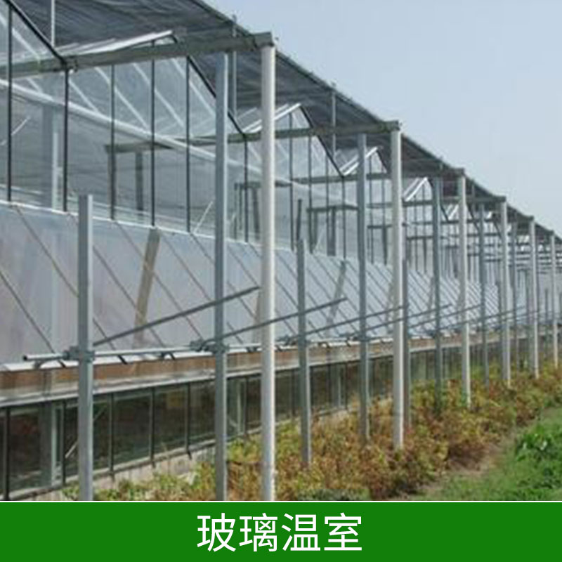 玻璃溫室具有整體性好造價(jià)較低結(jié)構(gòu)穩(wěn)定性使用壽命長(zhǎng)自然通風(fēng)玻璃溫室廠家直銷