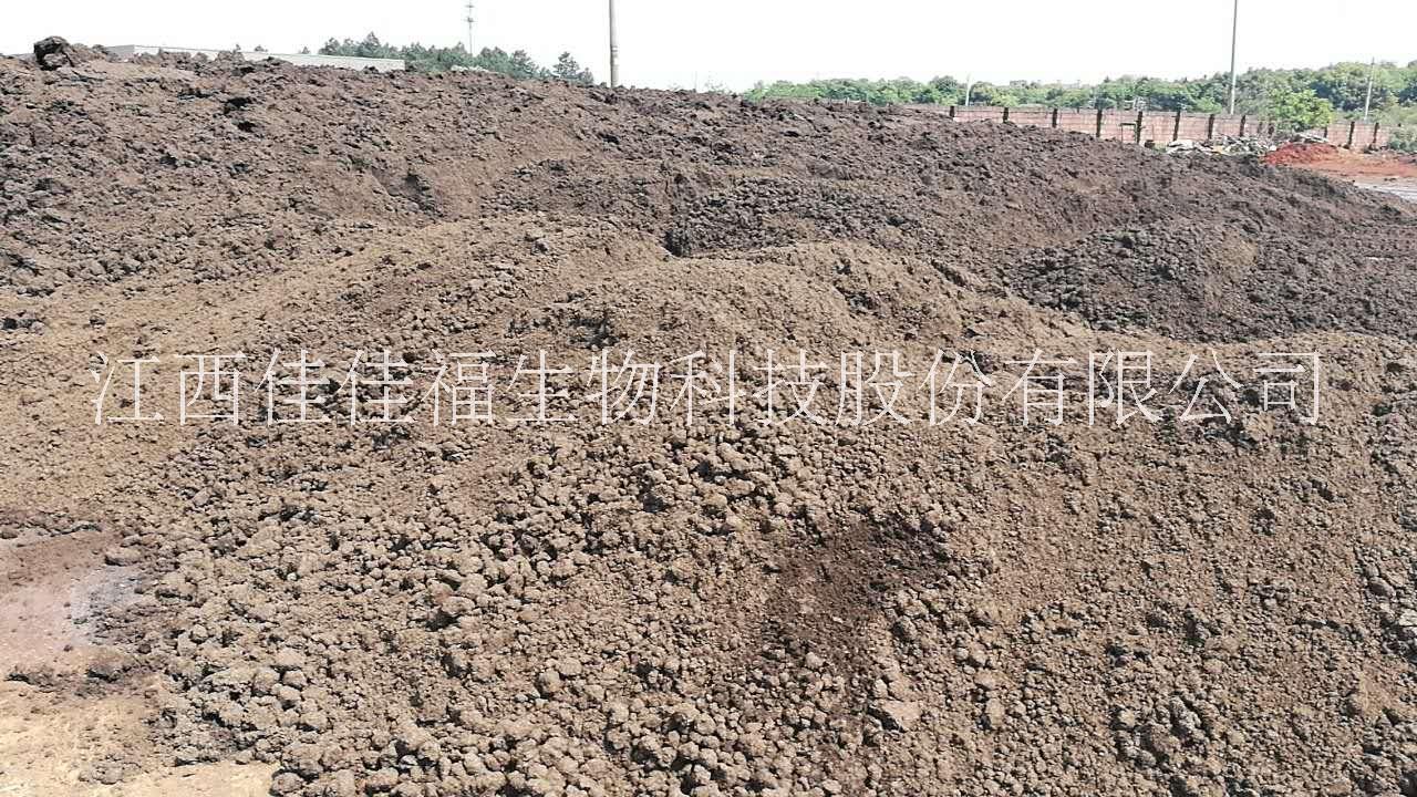木薯渣有機肥原料