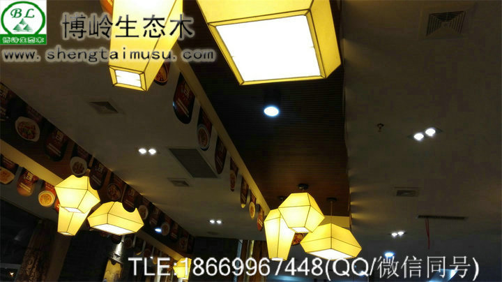 博嶺生態(tài)木吊頂效果圖下載50*1