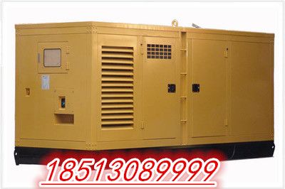 坊子區(qū)發(fā)電機(jī)出租+租賃《進(jìn)口機(jī)》18513089999