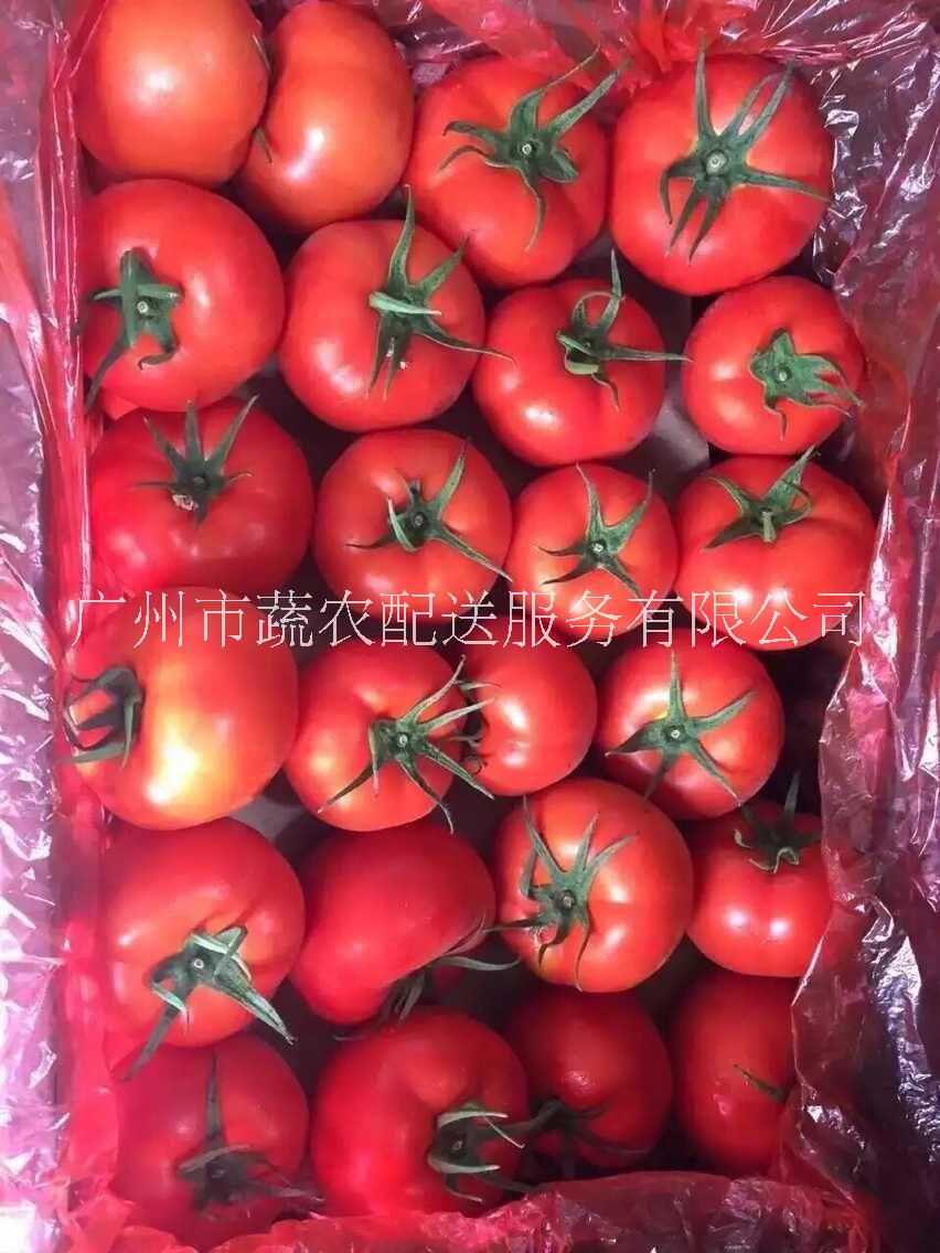 增城農(nóng)產(chǎn)品配送,蘿崗送菜公司