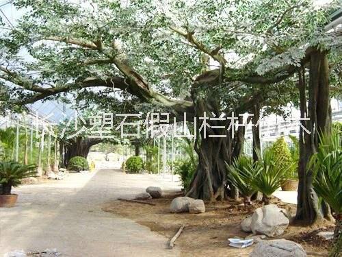 仿真樹 仿真樹工程施工 仿真容樹設(shè)計(jì) 假樹工程