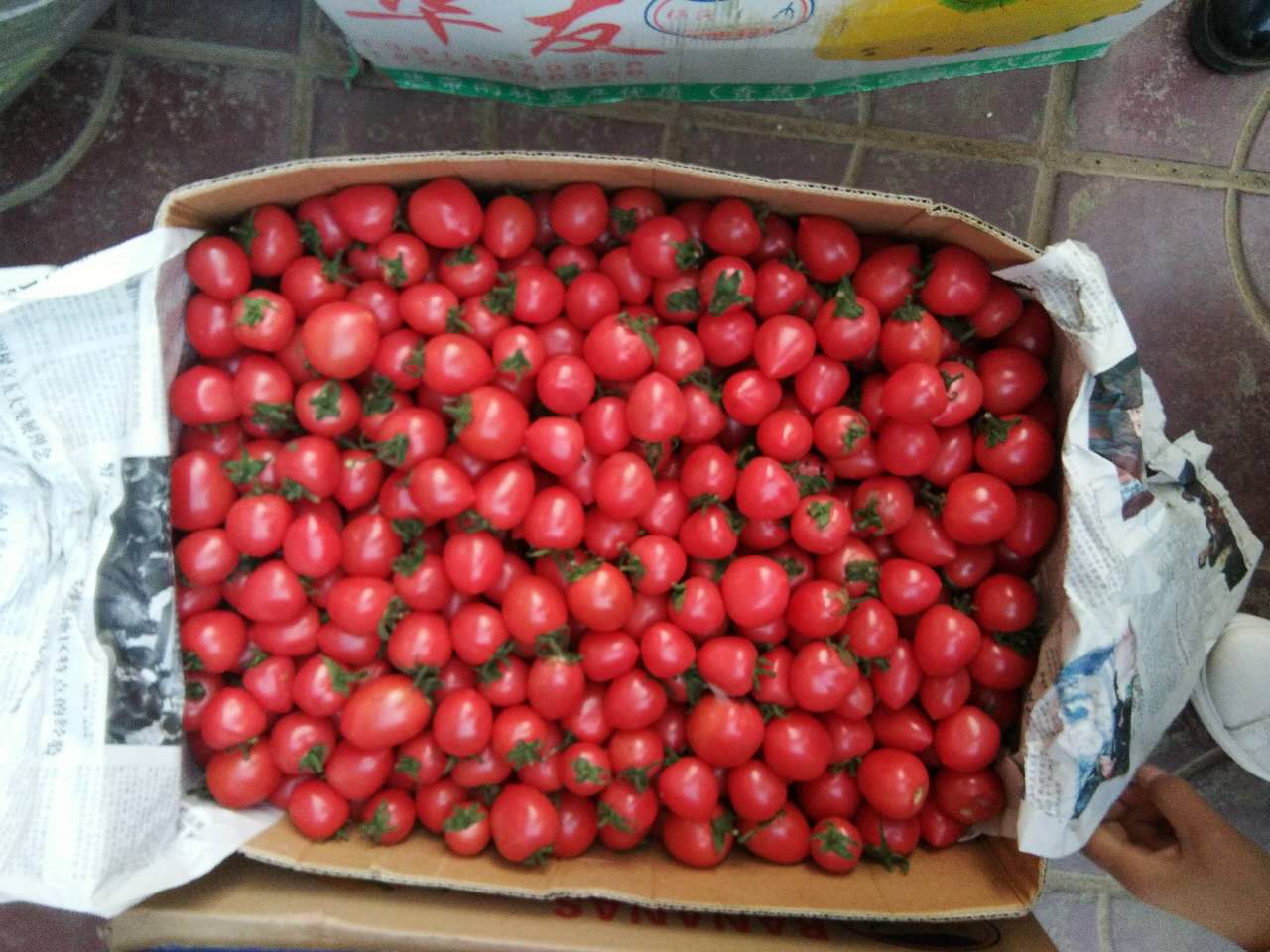 蘭州心農(nóng)園有機蔬菜水果農(nóng)副產(chǎn)品專業(yè)配送-食堂院校機關(guān)單位*