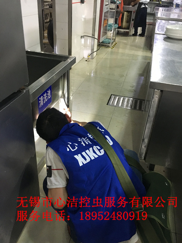 江陰殺蟲公司收費標準