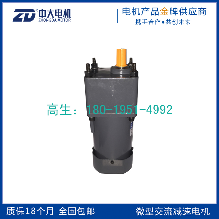 中大200W交流調(diào)速齒輪減速電機(jī)