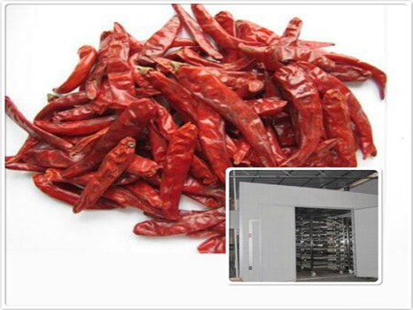 貴州遵義辣椒烘干機(jī) 大型辣椒烘干設(shè)備 流水線(xiàn)辣椒烘干機(jī) 辣椒烘箱