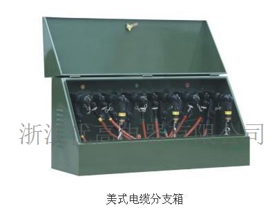 美式電纜分支箱 美式電纜分支箱供應(yīng) 美式電纜分支箱價(jià)格 美式電纜分支箱廠家