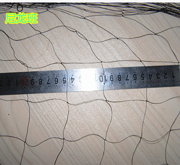 尼龍防鳥網(wǎng)網(wǎng)具供應(yīng)商網(wǎng)具廠家網(wǎng)具批發(fā)