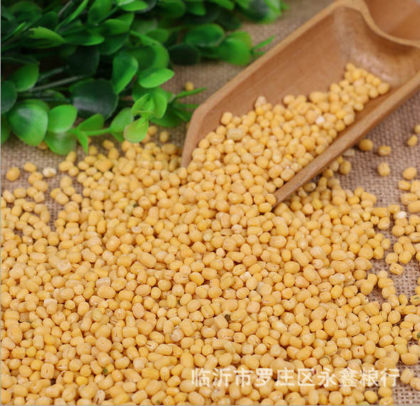 東優(yōu)質(zhì)去皮綠豆仁直銷商批發(fā)一等脫皮綠豆熱銷扒皮綠豆五谷雜糧