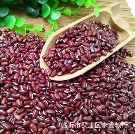赤小豆批發(fā)農(nóng)家長粒優(yōu)質(zhì)赤小豆赤豆非紅小豆薏米搭檔五谷雜糧袋裝