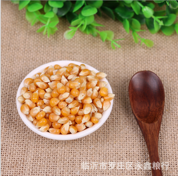 特級(jí)爆米花小玉米粒 特級(jí)爆米花爆裂小玉米粒