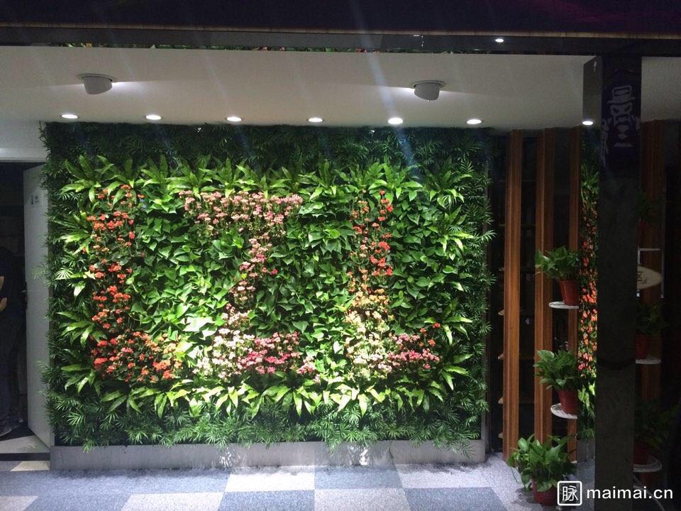 西安植物墻 立體綠化 陽(yáng)臺(tái)花園