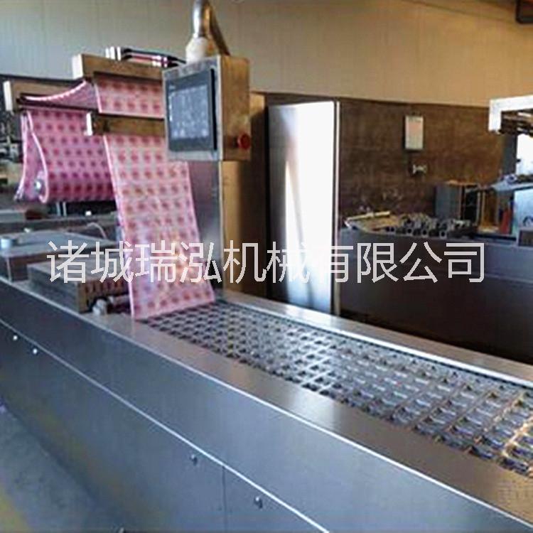 商用大型全自動拉伸膜真空包裝機(jī)  大型食品全自動拉伸膜真空包裝機(jī)