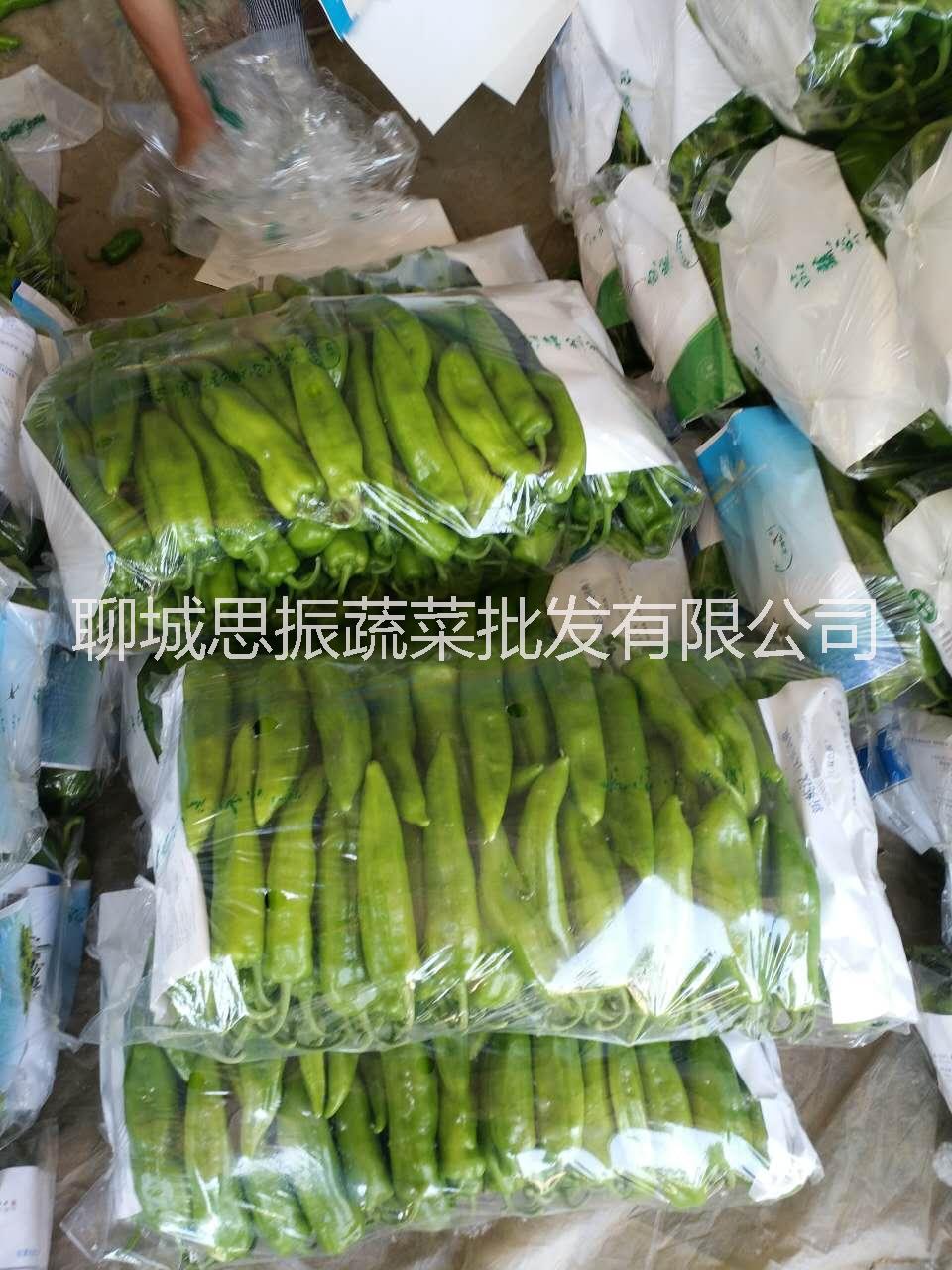 尖椒 聊城尖椒批發(fā) 聊城尖椒價(jià)格 聊城尖椒供應(yīng) 山東聊城尖椒供應(yīng)