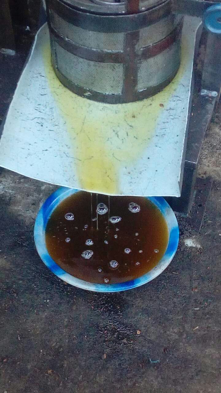 云南核桃油報價 云南核桃油價格 云南核桃油哪家好 云南核桃油批發(fā)