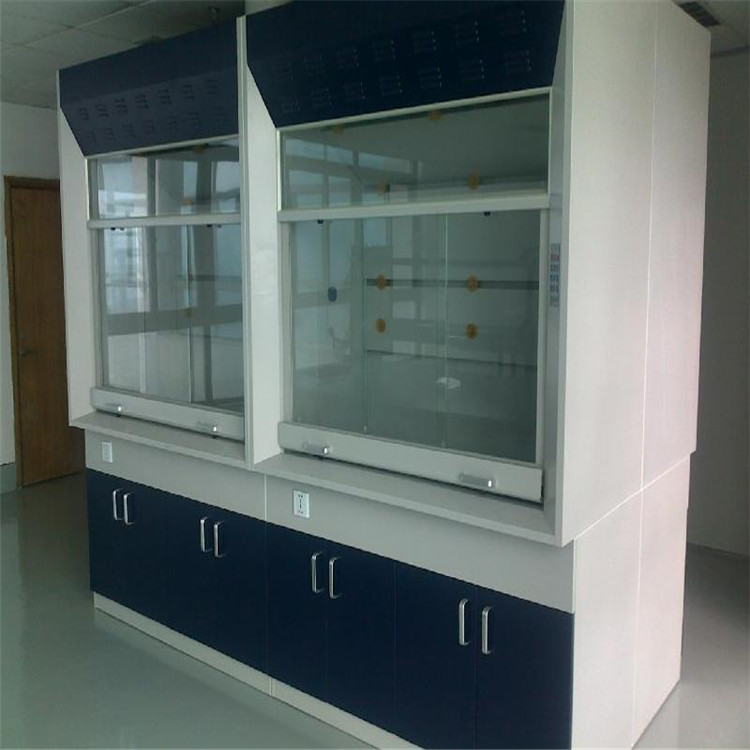 河南格拉瑞斯供應(yīng)實(shí)驗(yàn)臺(tái)通風(fēng)柜