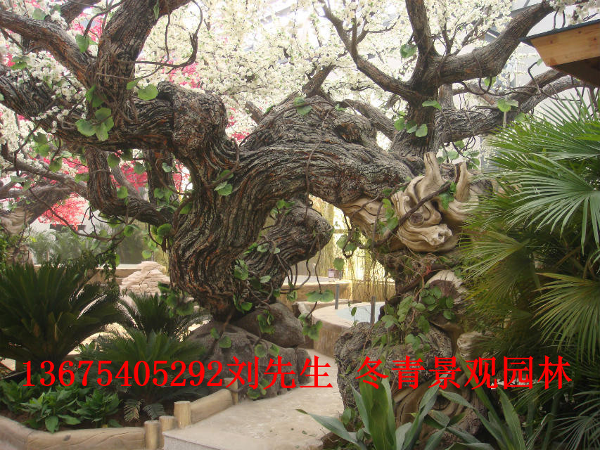 菏澤專業(yè)制作室內(nèi)仿真樹(shù)近期行情·室內(nèi)仿真樹(shù)今日價(jià)格