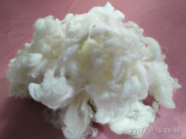 *除臭 紡織用中空棉 竹炭纖維 廠家直銷