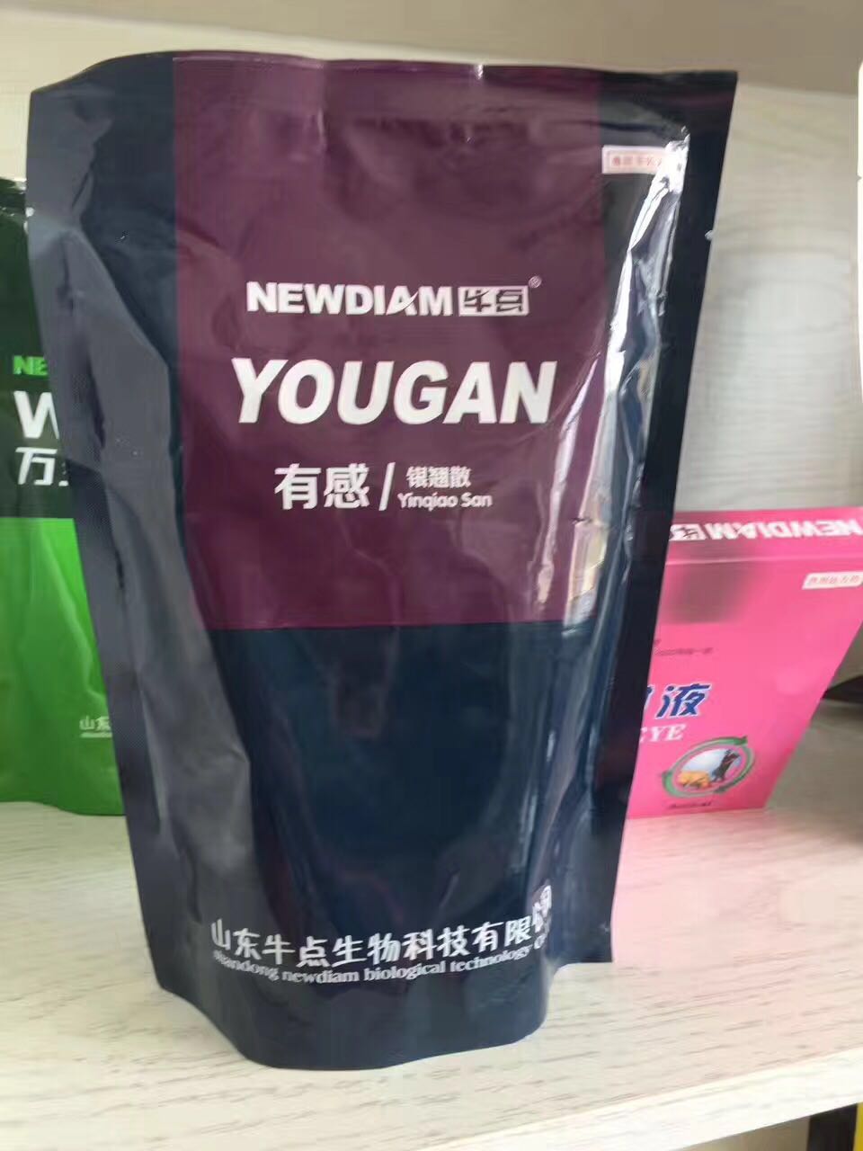有感（銀翹散）