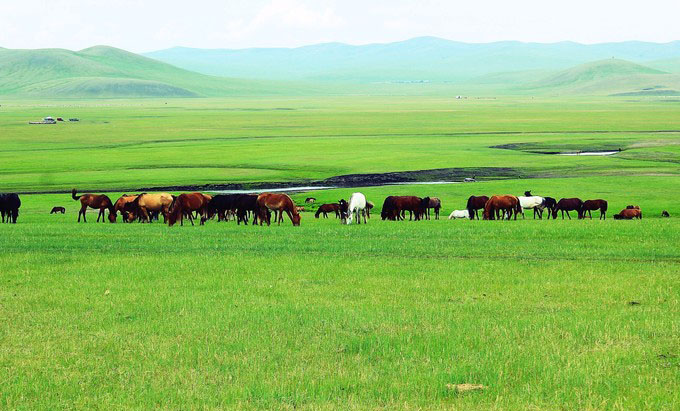 6日 呼倫貝爾草原畢業(yè)