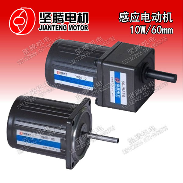感應(yīng)電動機10W/60mm