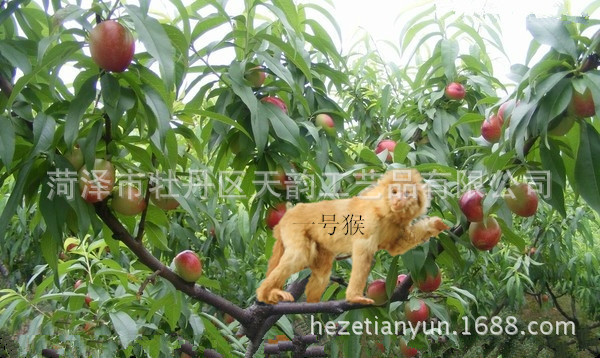 仿真皮毛仿真猴子仿真皮毛仿真猴子廠家批發(fā)仿真皮毛仿真猴子生產(chǎn)廠家