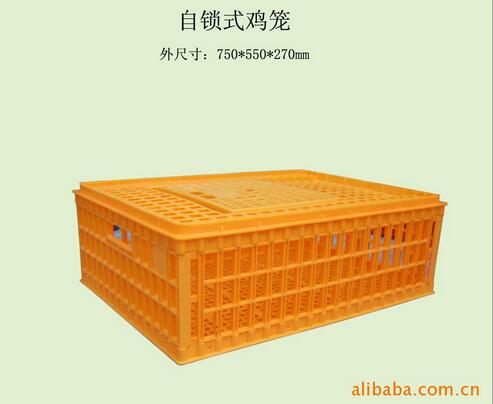 廠家推薦 塑料雞籠特色雙片式雞籠 優(yōu)質(zhì)橢圓形雞籠